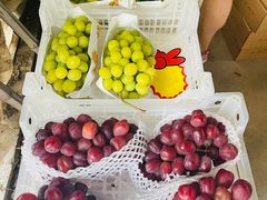 -马陆小张葡萄园农家乐