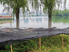 -天鹅湖体育公园