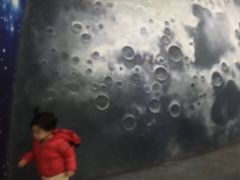 -陕西自然博物馆