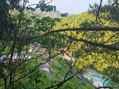 -龙岩森林水乡景区