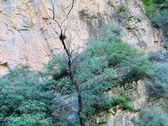 -龙门涧景区