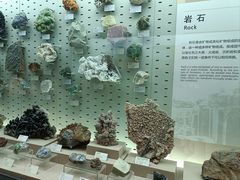 -浙江自然博物院(杭州馆)