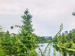 -东岳体育公园