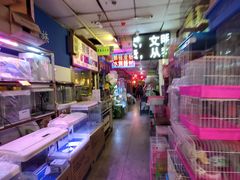 -宝鸡东道花鸟鱼虫市场(吉利花园商场店)