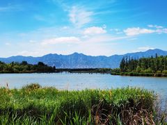 -野鸭湖国家湿地公园