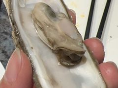 -钱小奴创意自助餐厅·原切谷饲安格斯畅吃(宁波环球银泰城店)