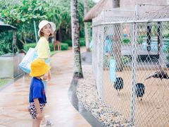 -三亚亚龙湾天域度假酒店