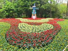 -上海共青森林公园