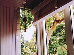 -蝶舍·MAISON PAPILLON