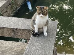 -西园戒幢律寺