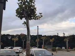 -无忧学车·大众驾校(长宁校区)