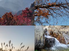 -秦岭风景区