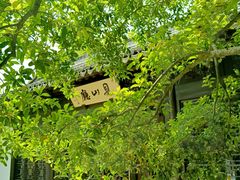 -上海醉白池公园