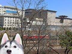-莲花池公园