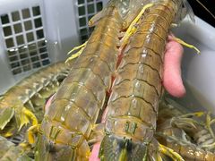 -阳江餐厅·30年老字号·粤菜海鲜大排档