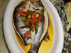 葱烧鲈鱼-绿茶餐厅(乐峰广场店)