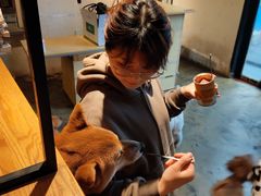 -萌喵咖啡屋(人民东路4号口M16商铺店)