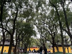 -西园戒幢律寺