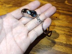 -1886德国汽车餐厅(外滩中央店)