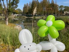 -宁波儿童公园(鄞州区)