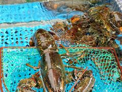 -大鹏饭店·金陵家宴(奥体中心店)