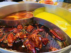 -青瓷火锅料理(西单大悦城店)