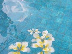 -巴厘岛乌鲁瓦图安纳塔拉度假酒店