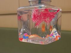 -海底捞火锅(王府井银泰in88店)