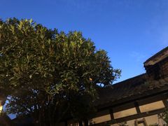 景观位-见山书院