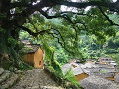 -杨家堂村
