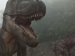 -梦幻奥陶纪景区