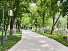 -渭滨公园