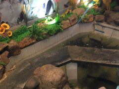 -春盛渔府(牛首山店)