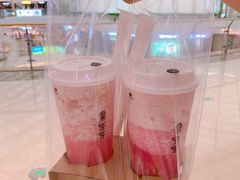 多肉荔荔-果呀呀(吾悦广场店)