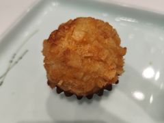 -丁老爷子苏香圆
