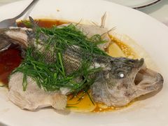 清蒸鲈鱼-鹅掂·大岭山烧鹅