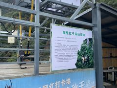 -龙湾潭国家森林公园