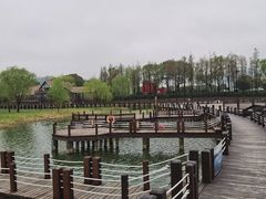 -苏州太湖国家湿地公园