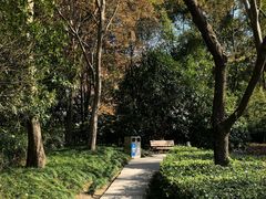 -南翔镇银翔湖公园