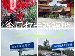-三水森林公园