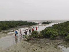 -北海金海湾红树林生态旅游区