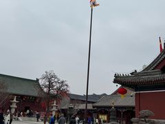 -天津大悲禅院