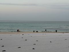 -咸德海水浴场