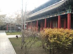 -碑林公园