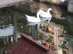 -陈云纪念馆