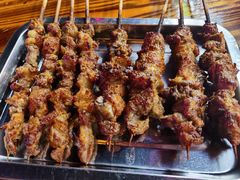-民族烤羊·烤羊肉串·烤羊排(南城店)
