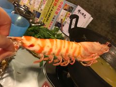 -鲜入围煮花胶鸡海鲜火锅