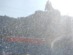-重庆海昌加勒比海水世界