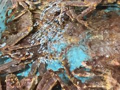 -79号渔船海鲜饭店(宝安店)