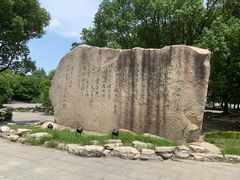 -溱湖国家湿地公园